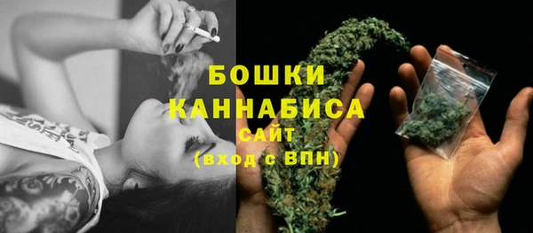 гашик Елизово