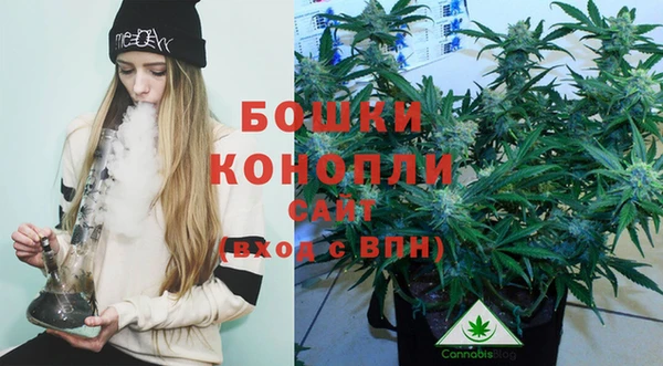 гашик Елизово
