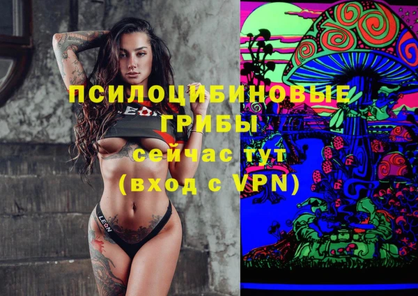 экстази Ельня