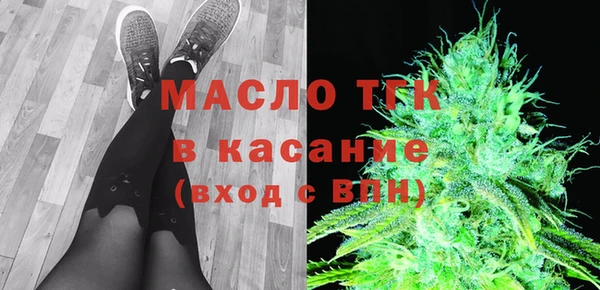 гашик Елизово