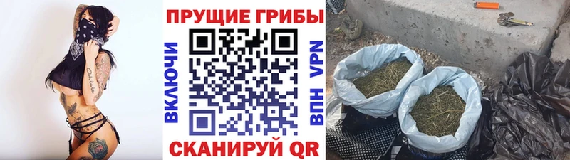 Псилоцибиновые грибы мухоморы даркнет сайт Радужный